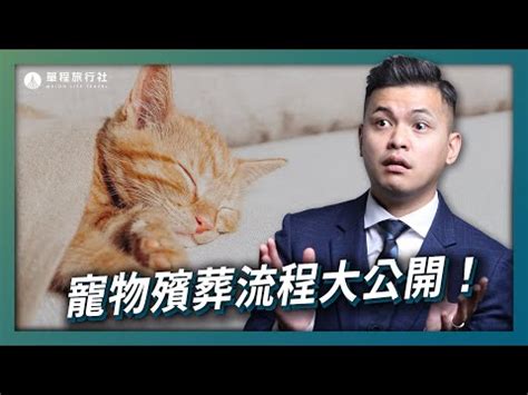 小動物死掉怎麼處理|如果狗狗在家中去世了您應該怎麼辦？怎樣處理它的「。